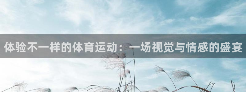 球友体育app下载官网