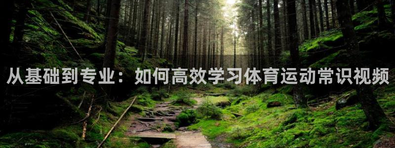 球友体育app官方下载最新版本2024