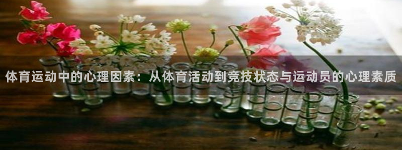 球友体育ipa