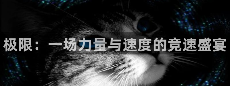 球友体育app下载官网：极限：一场力量与速度的竞速盛宴