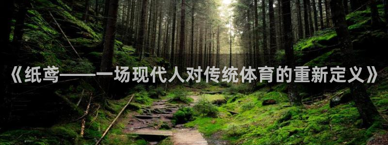 球友体育直播官网入口：《纸鸢——一场现代人对传统体育的重新定义》