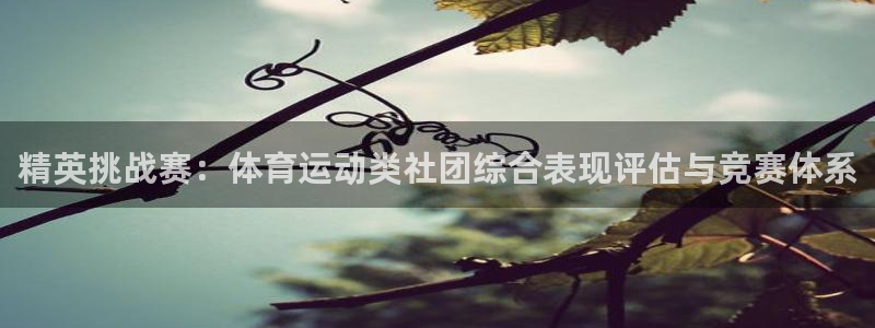 球友体育官网：精英挑战赛：体育运动类社团综合表现评估与竞赛体系